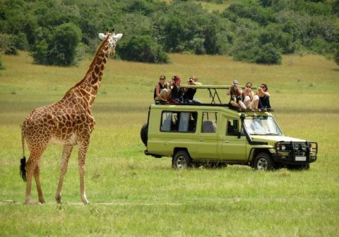 Arusha-National-Park-Day-Trip_1593517254 Arusha-National-Park-Day-Trip_1593517254